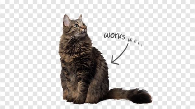 Background Remover by Icons8: Remove the background from any photo with AI смотреть онлайн