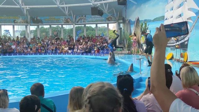 Дельфинарий Немо Минск 3 смотреть онлайн