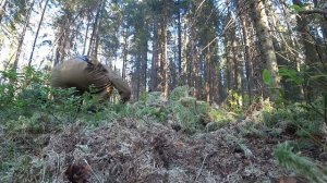 Выживание в лесу(7) | Неудачная рыбалка