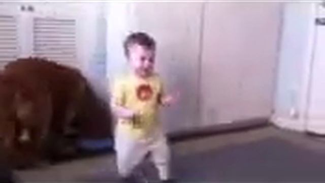 Ford feeding dogs смотреть онлайн