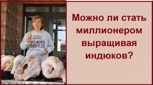 Какая выгода от индюков// Заработок на индейке// Проект завершен!