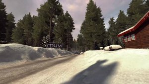 #16 Обзор DiRT Rally (2015) PC