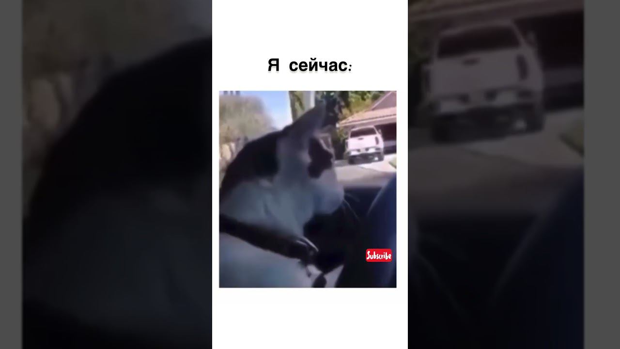 Ааааа ЭТО ПРО МЕНЯ! #приколы #shorts смотреть онлайн