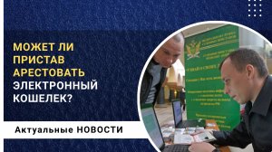 Может ли пристав арестовать электронные кошельки?