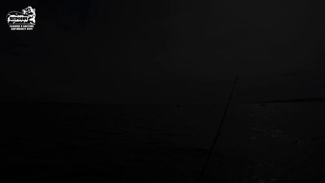 БОЛЬШОЙ УЛОВ VLOG: Сарган. Бирулиновый поплавок. Рыбалка с подписчиком. Май 2020. смотреть онлайн