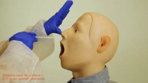 ПЦР тест на коронавирус SARS CoV 2, мазок  Техника взятия материала