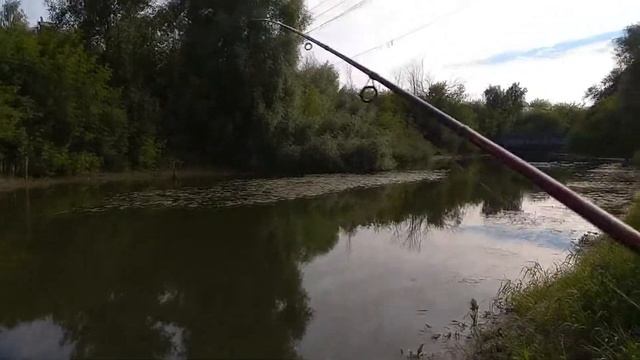 Рыбалка на спиннинг в июне. Первая рыбалка после запрета.