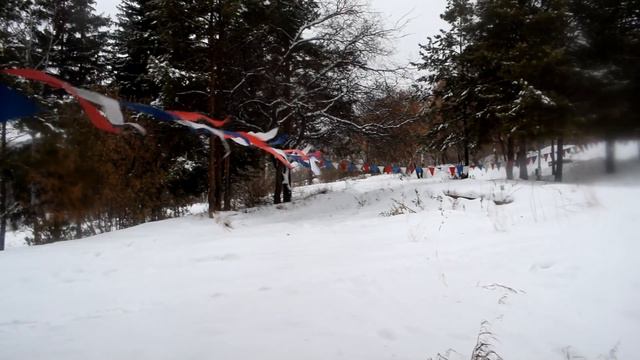 ПомогиБелке, поиск Елки, мама я в Дубае, Юлия и Филипп смотреть онлайн