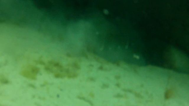 Судак в Каспийском море смотреть онлайн