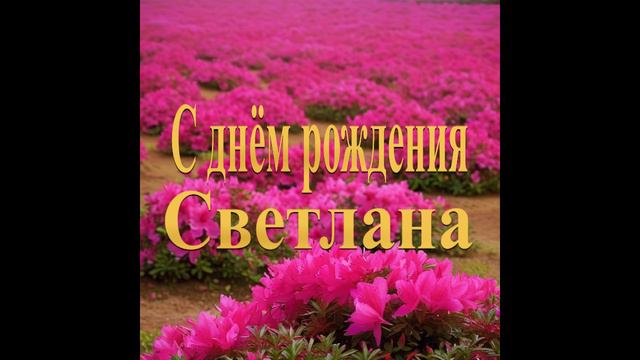 С днём рождения Светлана