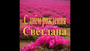 С днём рождения Светлана