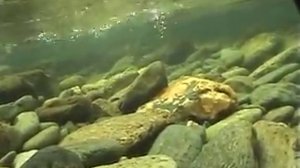 Унья.походные заметки_xvid.avi