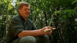 Ray Mears - Cutting with a Knife, Bushcraft Survival