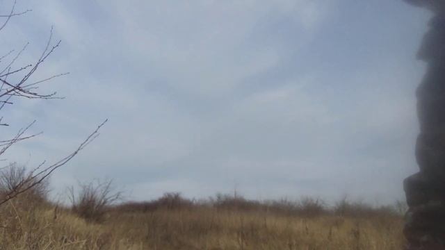 Охота на зайца. смотреть онлайн