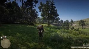 RDR 2 Как принести две большие шкуры