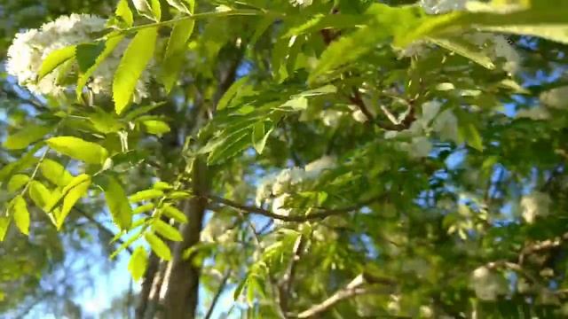 #владу смотреть онлайн