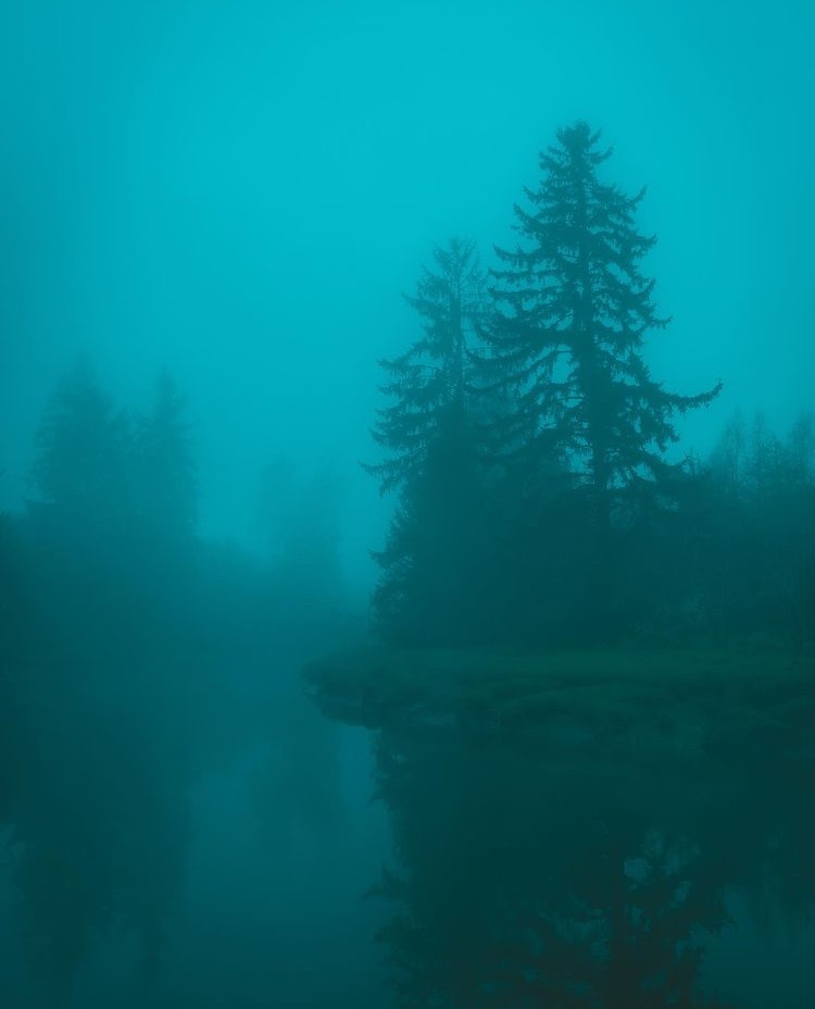 MrBogomol - Loop Station BOSS RC-505 — ASMR For Babies (Премьера трека, 2022) смотреть онлайн