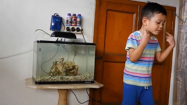 MEMBUAT AKUARIUM AIR LAUT MODAL 100 RIBUAN !!! смотреть онлайн