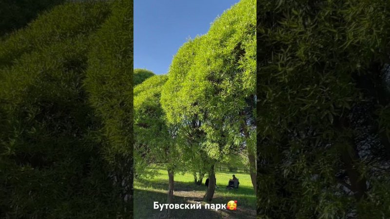 Парк Южное Бутово