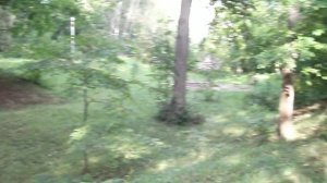 Парк Александровский сад 3 часть 100 видео .
