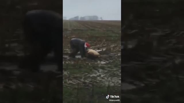 И дождь не помеха ?