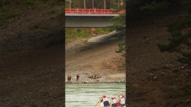 Хочешь автобизнес на курорте? Начни с этого