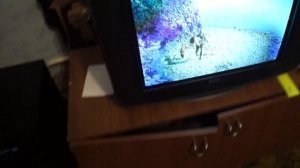 LG FJ686
