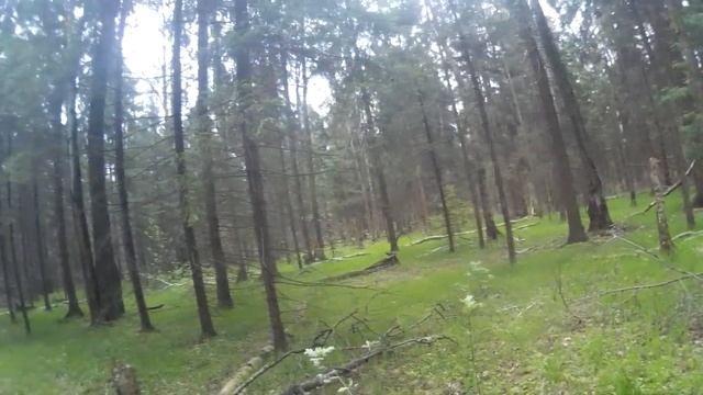 О топорище из ясеня