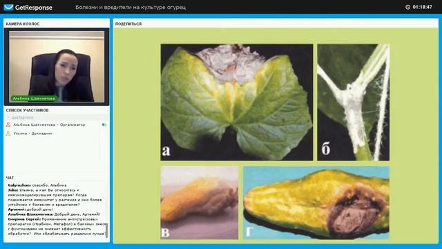 Обработка фунгицидами и удобрениями смотреть онлайн