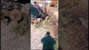 как вытащить, старый столб забора