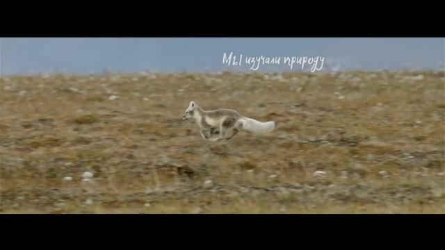 Заповедная Россия | iridium360 | Мы всегда рядом - ваш Permsputnik