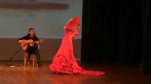 Bata de cola "argentina" (Natalia Meiriño)
