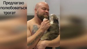 Мужчины и кошки: дружба на века #смешныекошки  #смешныеживотные #животные