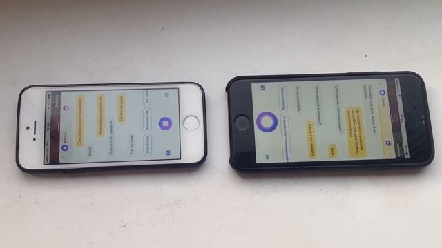 ДВЕ АЛИСЫ ПОД ОКНОМ! РЖАКА ДО СЛЕЗ! СМОТРЕТЬ ДО КОНЦА! 0