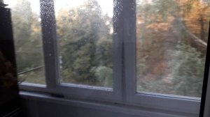 Как мыть окна без разводов. Как мыть стекла до блеска.