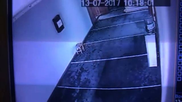 Вор крадет с мечети деньги смотреть онлайн