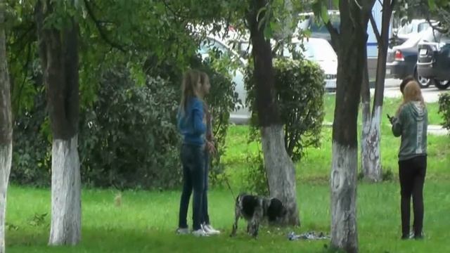 Подольские интересные Кадры смотреть онлайн