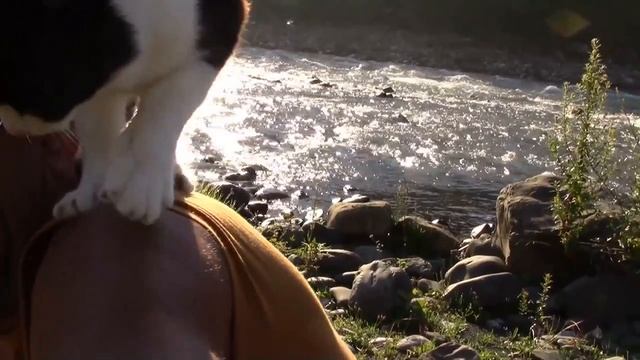 2017_06_26_ПЛАСТУНКА_СОЧИ.mp4 смотреть онлайн