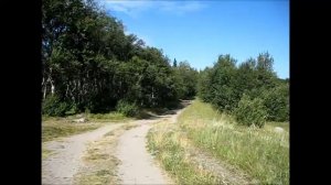 На берегу Белого моря