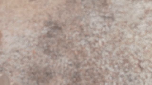 Баня 6*6 рубленная терраса две перегородки и 3 фронтона. смотреть онлайн