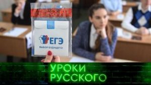 Урок №138. Дистант и дикость — два слова на «Д»: про образование в России