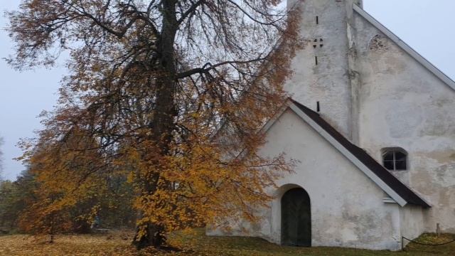 Как живут шведы... в Эстонии | 