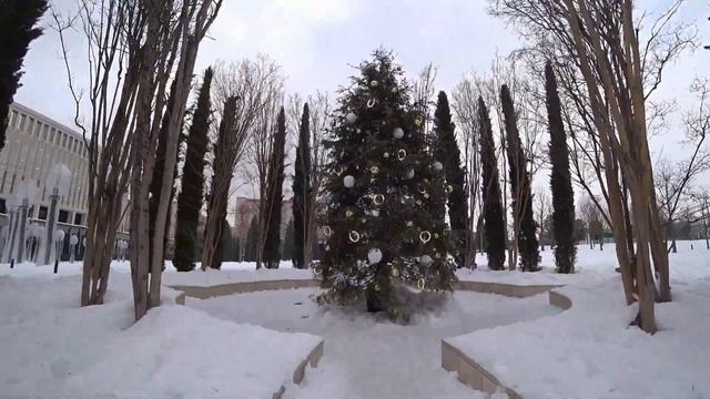 Краснодар в снегу. Парк Галицкого. январь 2022г. смотреть онлайн
