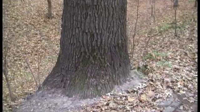 А. Пугачева. ОСЕНЬ . смотреть онлайн