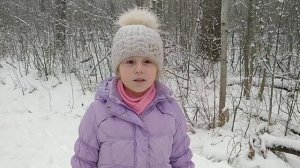 Первый снег, стихотворение  И. Бунин.