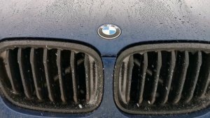 Прожиг сажевого фильтра на bmw x3 g01