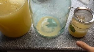 Лечебный квас на сыворотке с чистотела. Рецепт кваса по Болотову.