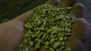 Работа  СМ 4.