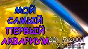МОЙ САМЫЙ ПЕРВЫЙ АКВАРИУМ #АКВАМЕН #СВОИМИ_РУКАМИ