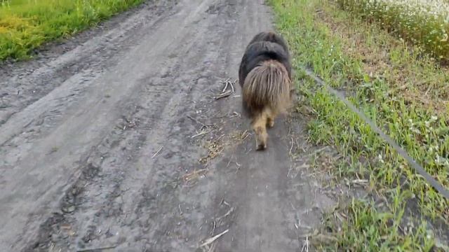 ВЛОГ/ ДНИ ЖИЗНИ /12- 20июля /Причал для ТАСИ / БОЛТАЛКА /СКОЛЬКО я ЗАРАБАТЫВАЮ на Дзене смотреть онлайн